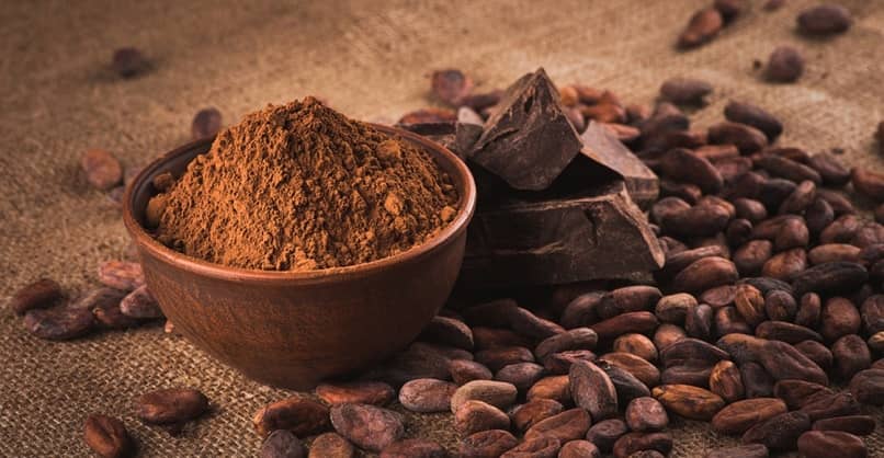 cacao granos polvo natural barra chocolate