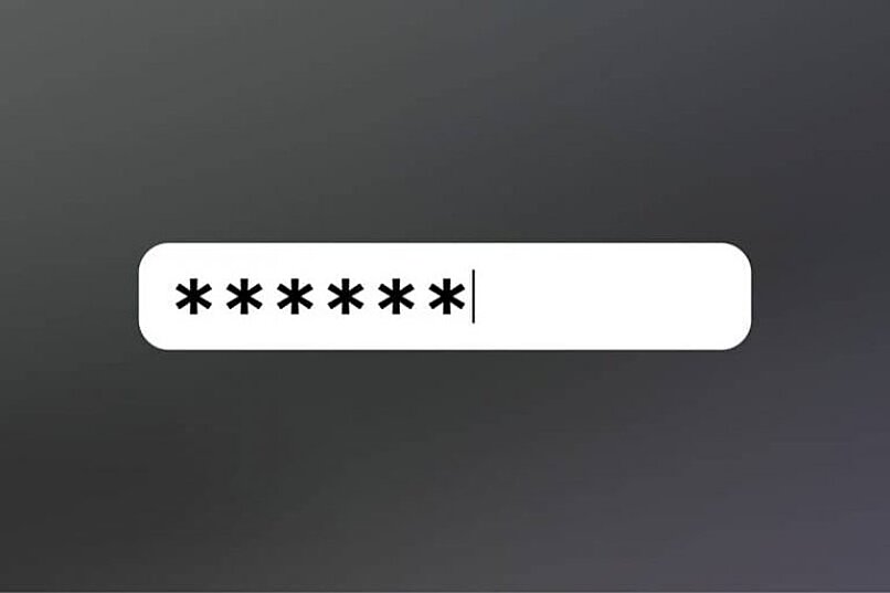 password icon not visible