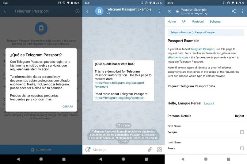 passport telegram screen
