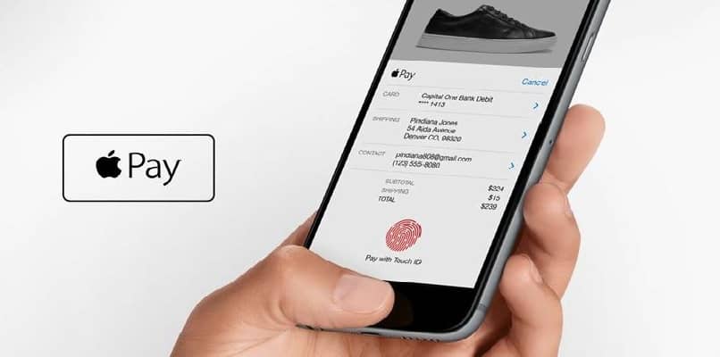 persona using apple pay