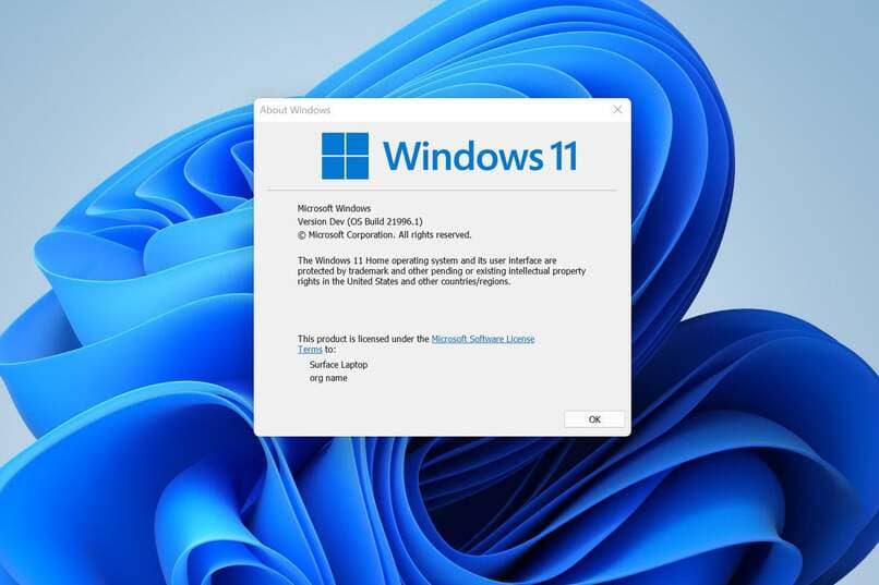 cursor errors in windows 11