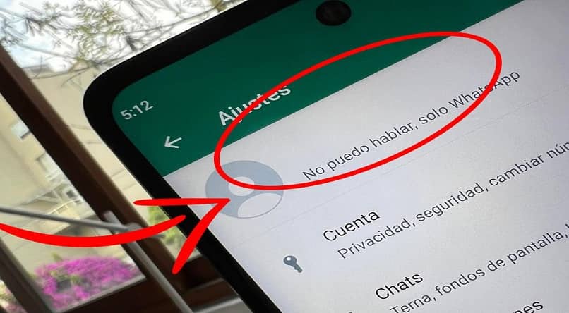 hide your name in whatsapp privacy